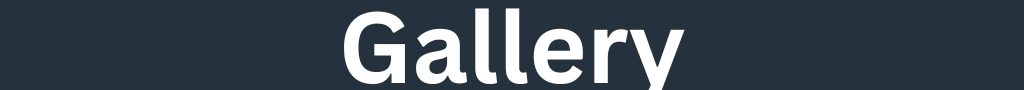 Untitled (1024 x 400 px) (1024 x 260 px) (1)